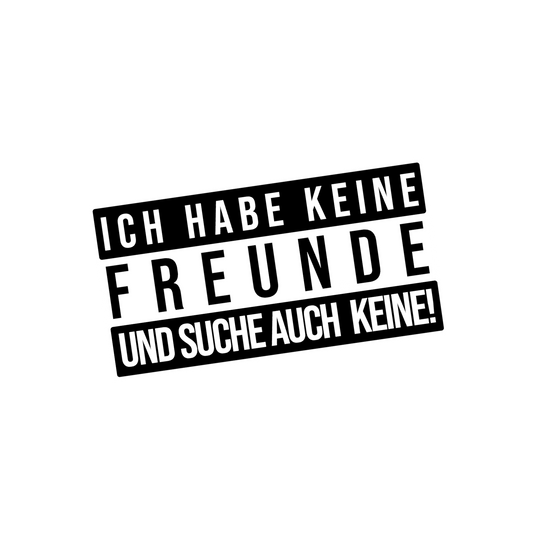 „Ich habe keine Freunde und suche auch keine“ – im Parental Advisory Stil